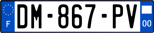 DM-867-PV