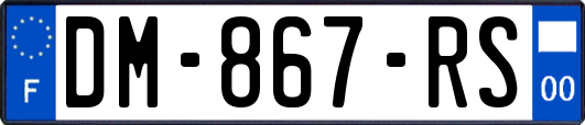 DM-867-RS