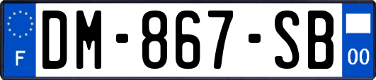 DM-867-SB