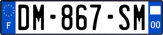 DM-867-SM
