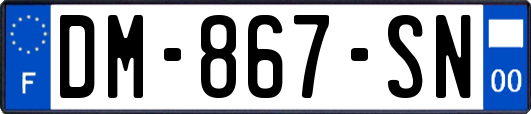 DM-867-SN