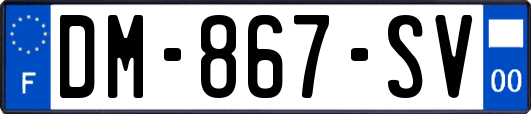 DM-867-SV