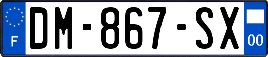 DM-867-SX