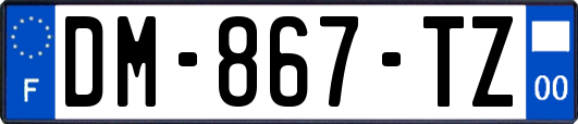 DM-867-TZ