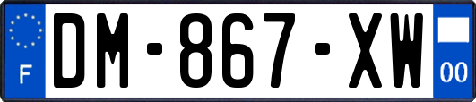 DM-867-XW