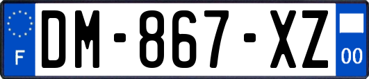 DM-867-XZ