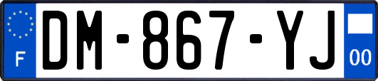 DM-867-YJ