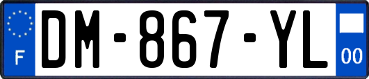 DM-867-YL