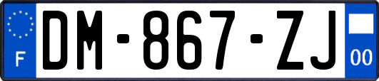 DM-867-ZJ