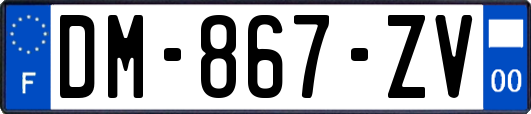 DM-867-ZV