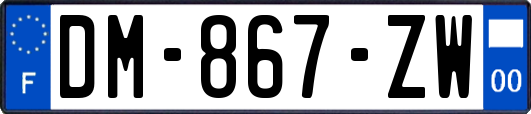 DM-867-ZW