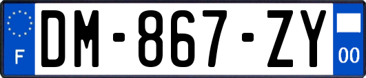 DM-867-ZY