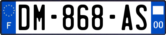DM-868-AS