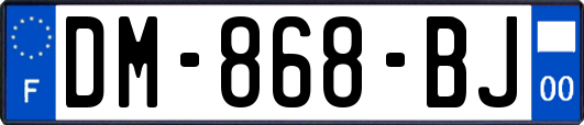 DM-868-BJ