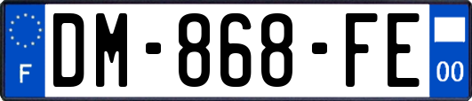 DM-868-FE