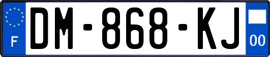 DM-868-KJ