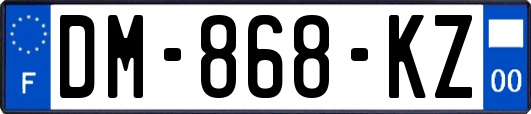 DM-868-KZ