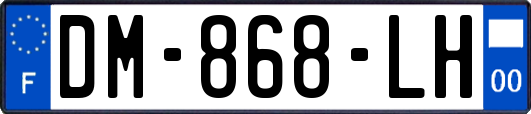 DM-868-LH