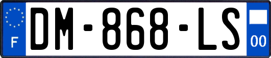 DM-868-LS