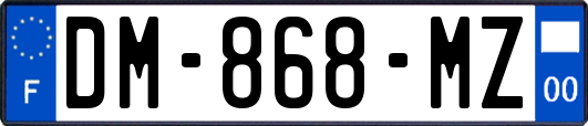 DM-868-MZ