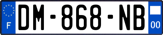 DM-868-NB