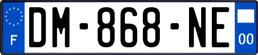 DM-868-NE