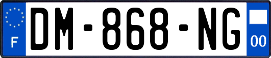 DM-868-NG