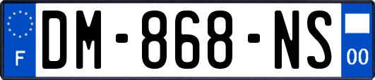 DM-868-NS