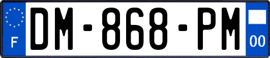 DM-868-PM