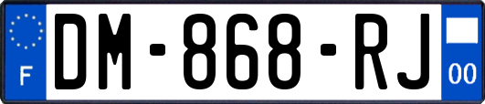 DM-868-RJ