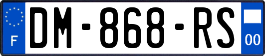 DM-868-RS