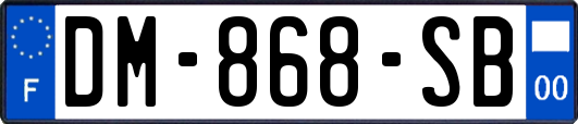 DM-868-SB