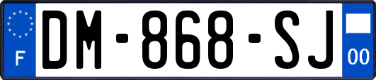 DM-868-SJ