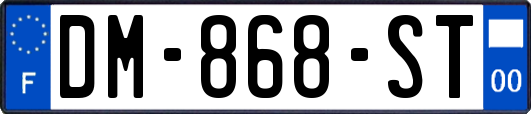 DM-868-ST