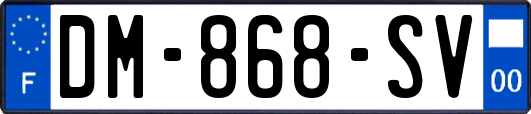 DM-868-SV