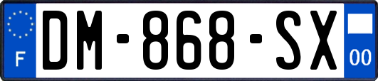 DM-868-SX