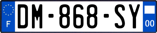 DM-868-SY