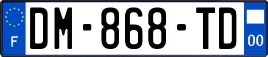 DM-868-TD