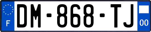 DM-868-TJ