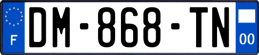 DM-868-TN