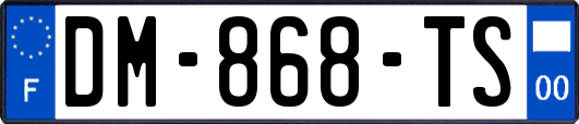 DM-868-TS