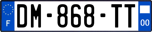DM-868-TT