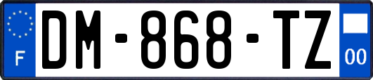 DM-868-TZ