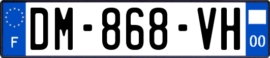 DM-868-VH