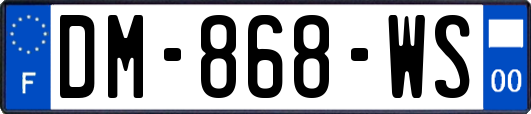 DM-868-WS