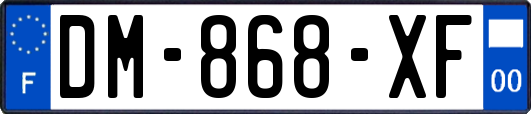 DM-868-XF