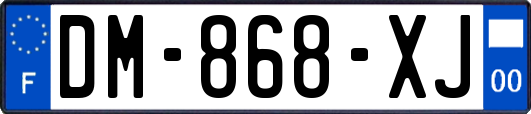 DM-868-XJ