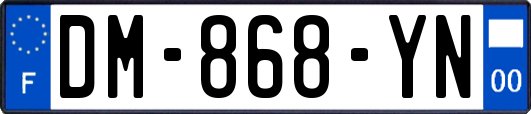 DM-868-YN