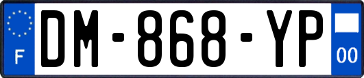 DM-868-YP