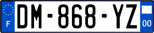 DM-868-YZ